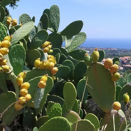 Sotto L'eremo فندق مبيت وإفطار