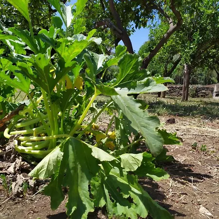 فندق مبيت وإفطار Sotto L'eremo Aci Catena