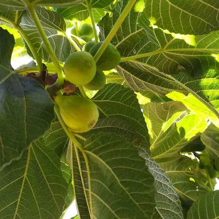 فندق مبيت وإفطار Sotto L'eremo Aci Catena