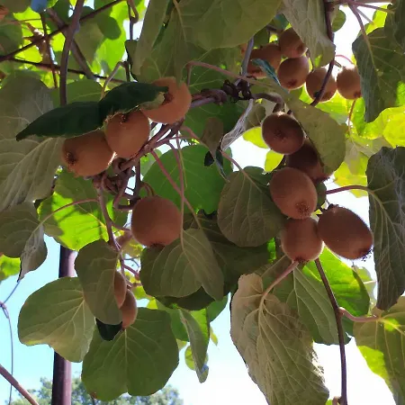 Sotto L'eremo فندق مبيت وإفطار