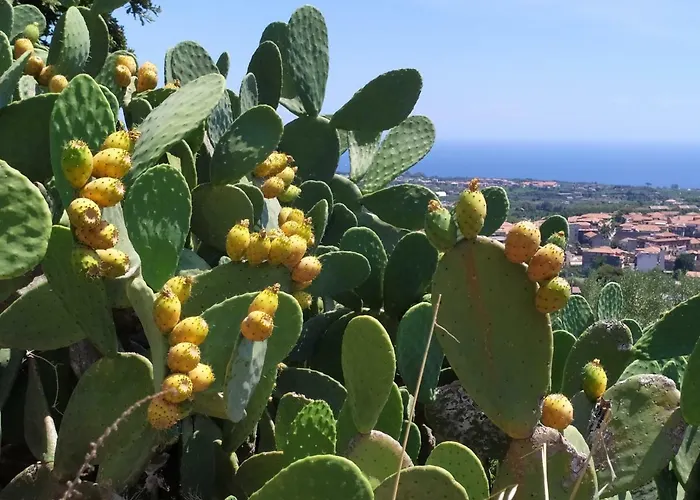 Sotto L'eremo 住宿加早餐酒店