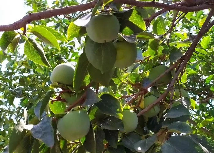 住宿加早餐酒店 Sotto L'eremo 3*