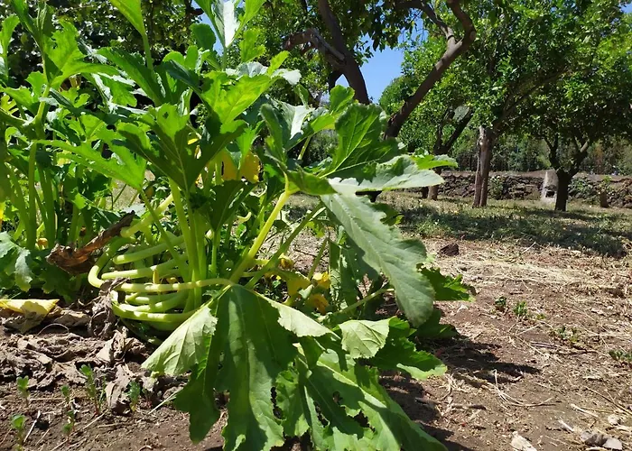 住宿加早餐酒店 Sotto L'eremo Aci Catena