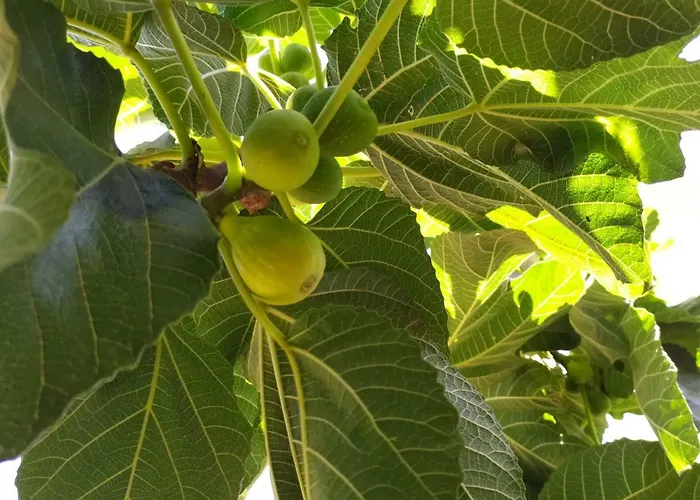 住宿加早餐酒店 Sotto L'eremo Aci Catena