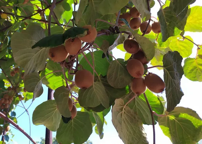 Sotto L'eremo 住宿加早餐酒店