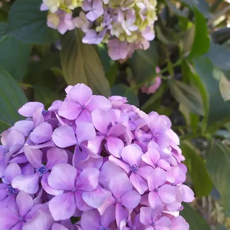 Bed and Breakfast Sotto L'eremo