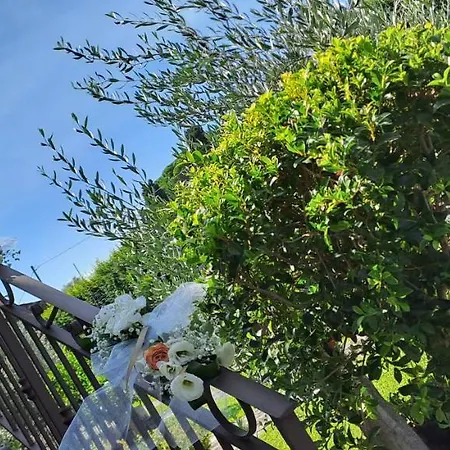 Sotto L'eremo Bed and Breakfast Aci Catena