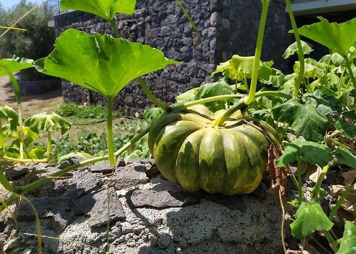 Sotto L'eremo 3* Aci Catena